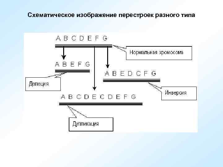 Схематическое изображение перестроек разного типа 