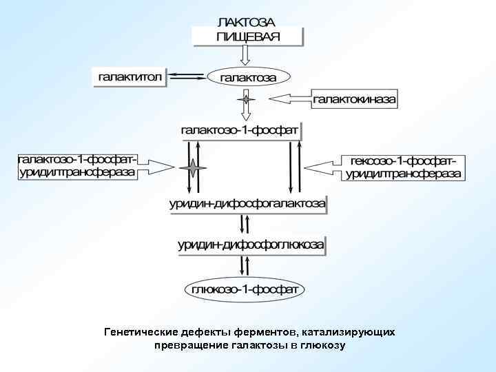 Генетические дефекты ферментов, катализирующих превращение галактозы в глюкозу 