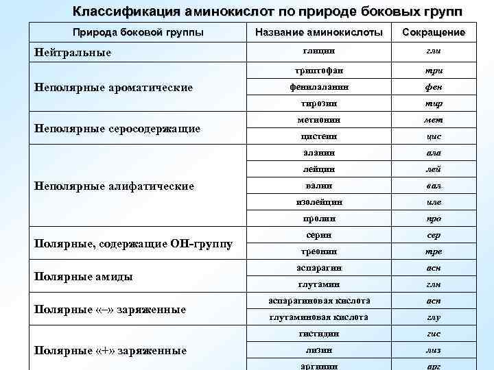 Классификация аминокислот по природе боковых групп Природа боковой группы Полярные «+» заряженные тир метионин