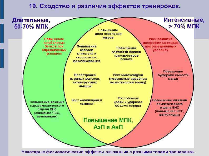19. Сходство и различие эффектов тренировок. Длительные, 50 -70% МПК Интенсивные, > 70% МПК