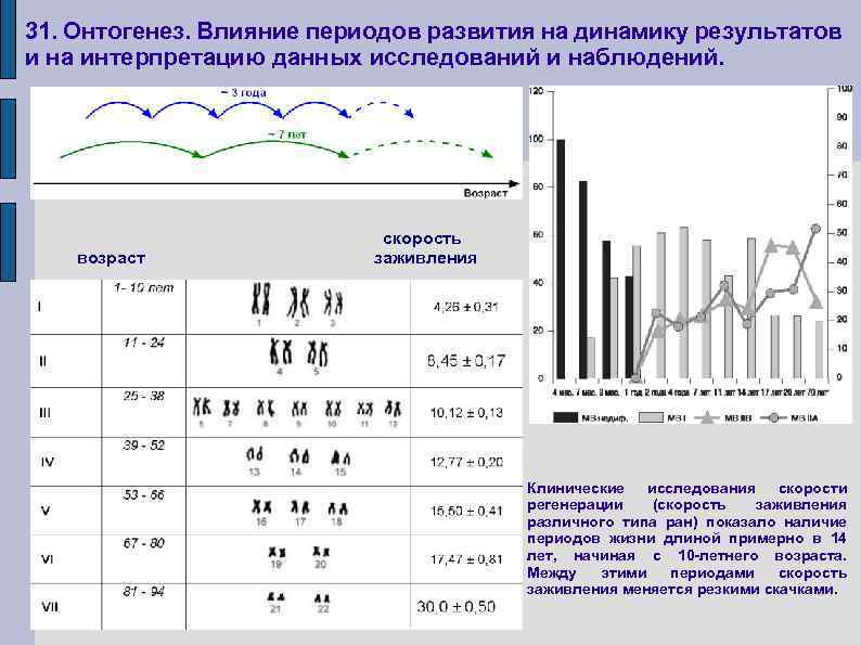 31. Онтогенез. Влияние периодов развития на динамику результатов и на интерпретацию данных исследований и