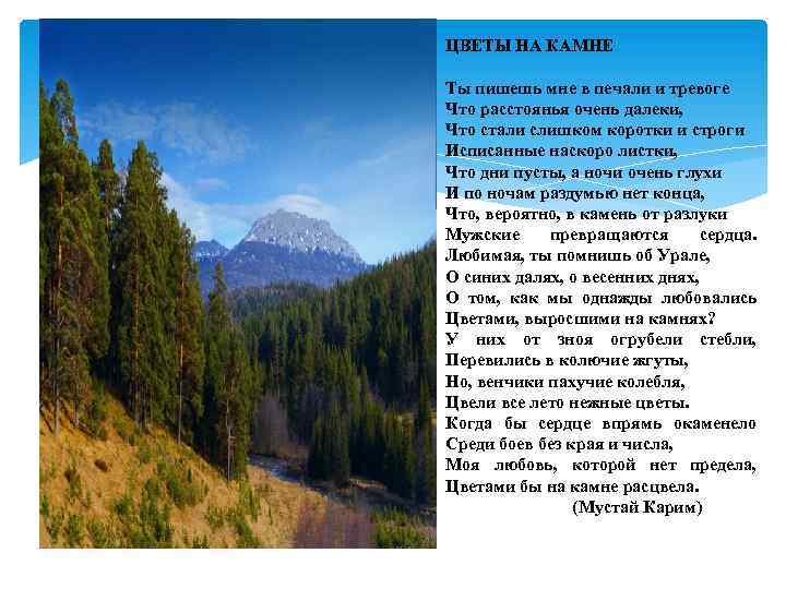 ЦВЕТЫ НА КАМНЕ Ты пишешь мне в печали и тревоге Что расстоянья очень далеки,