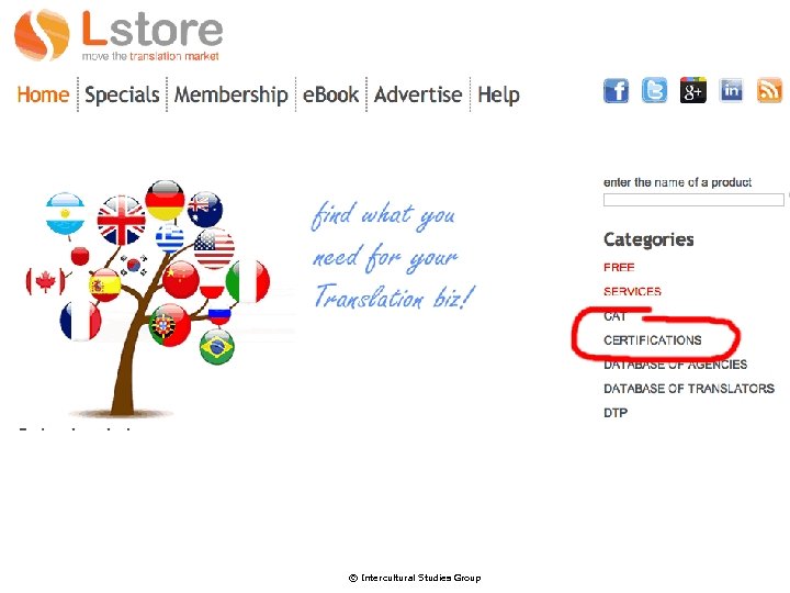 Transaction costs over time © Intercultural Studies Group 