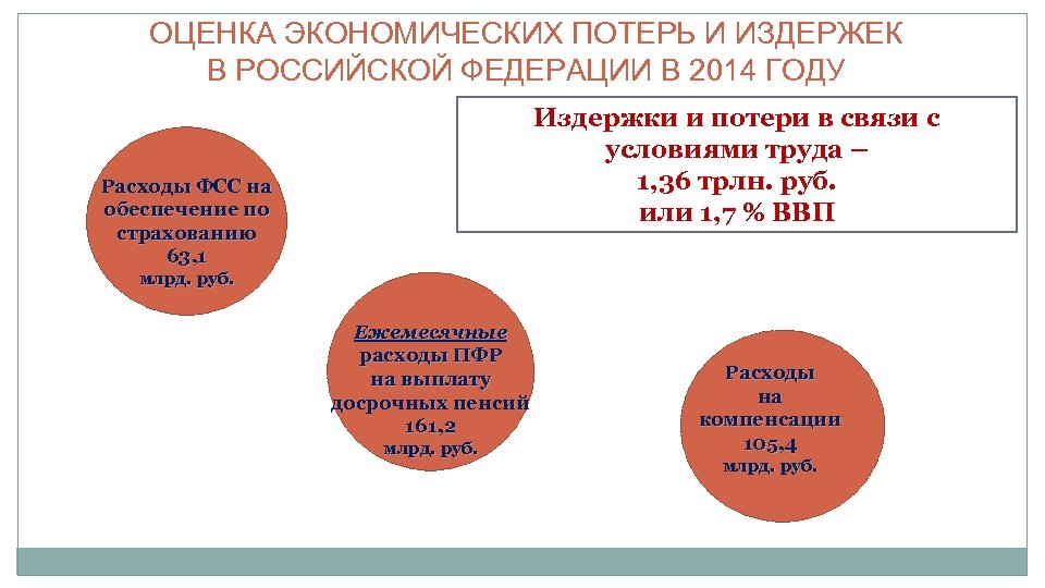 ОЦЕНКА ЭКОНОМИЧЕСКИХ ПОТЕРЬ И ИЗДЕРЖЕК В РОССИЙСКОЙ ФЕДЕРАЦИИ В 2014 ГОДУ Издержки и потери