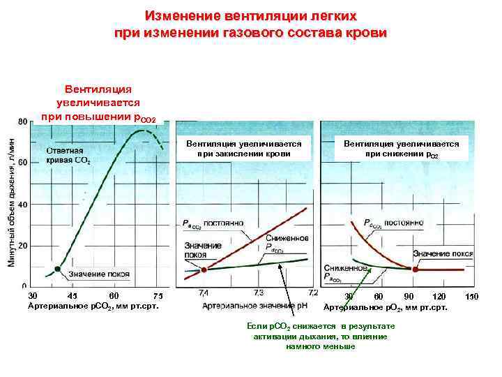 Изменение вентиляции легких при изменении газового состава крови Вентиляция увеличивается при повышении р. СО