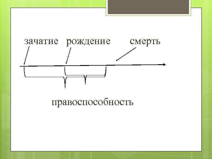 зачатие рождение смерть правоспособность 