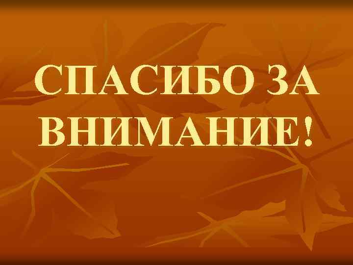 СПАСИБО ЗА ВНИМАНИЕ! 