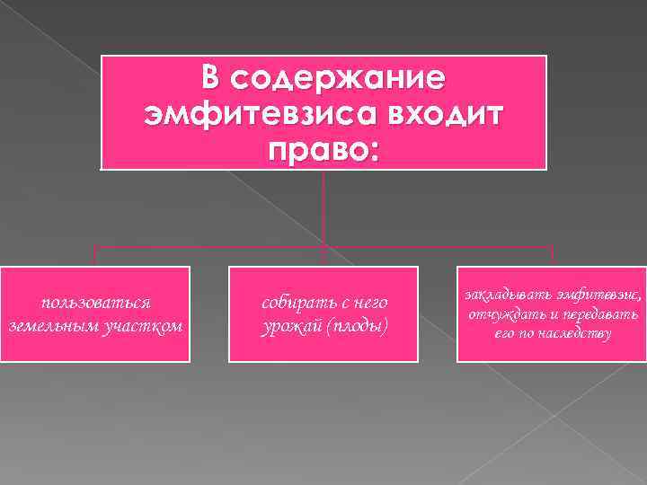 Эмфитевзис и суперфиций в римском праве