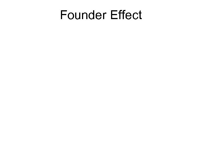Founder Effect 