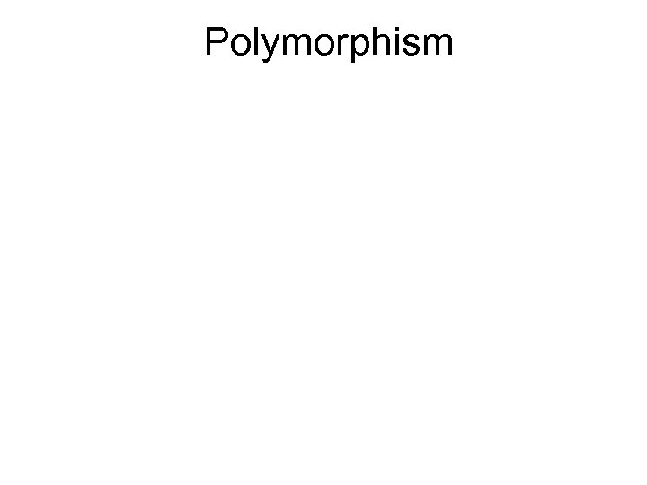 Polymorphism 