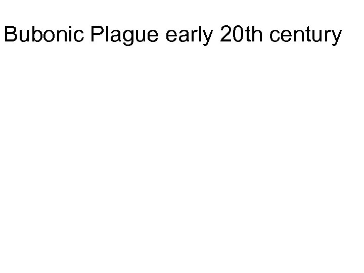 Bubonic Plague early 20 th century 