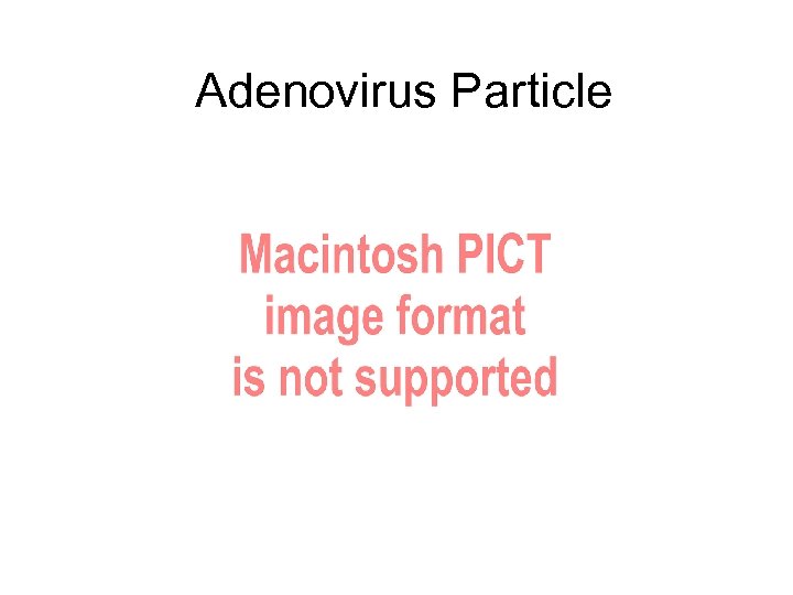 Adenovirus Particle 