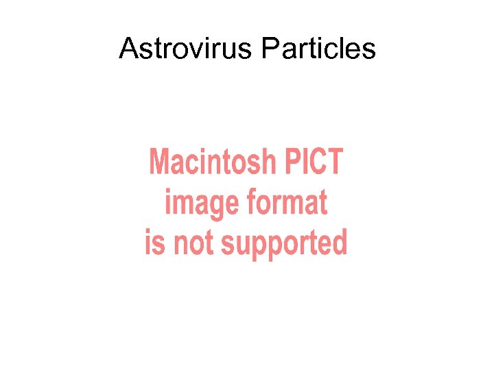 Astrovirus Particles 