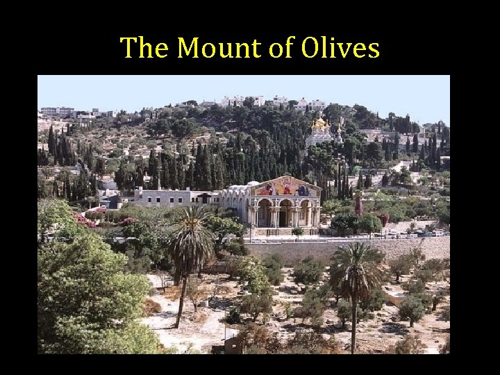 The Mount of Olives 