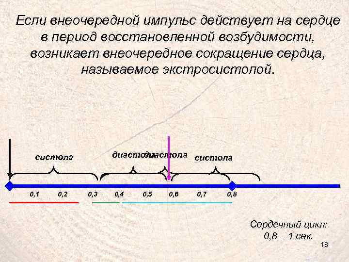 Если внеочередной импульс действует на сердце в период восстановленной возбудимости, возникает внеочередное сокращение сердца,