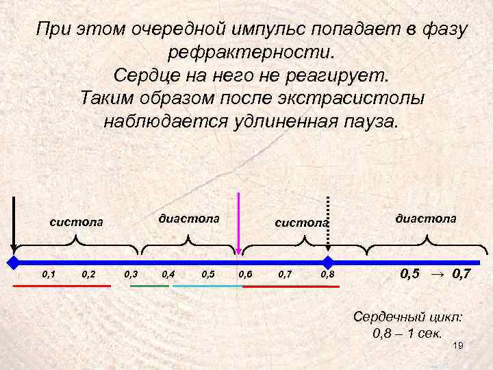 При этом очередной импульс попадает в фазу рефрактерности. Сердце на него не реагирует. Таким