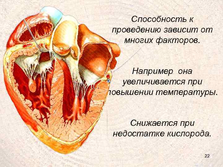 Способность к проведению зависит от многих факторов. Например она увеличивается при повышении температуры. Снижается