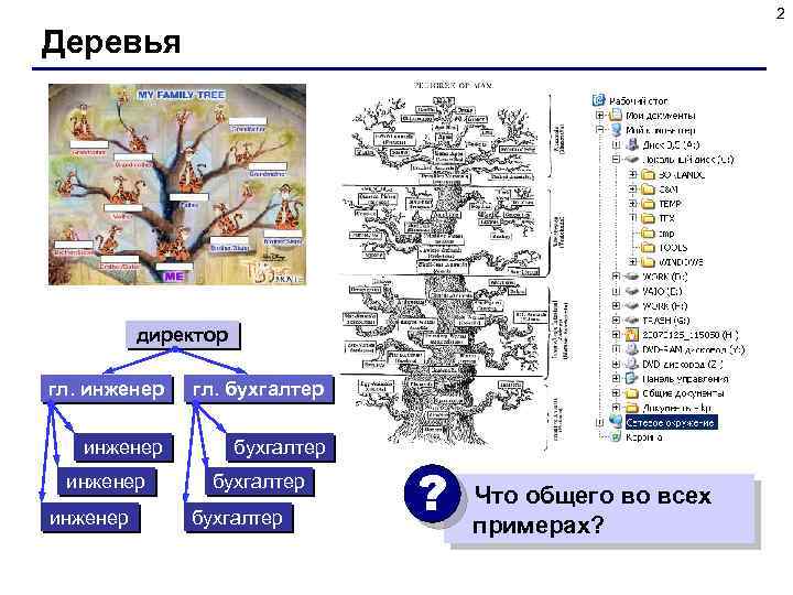 2 Деревья директор гл. инженер гл. бухгалтер инженер бухгалтер ? Что общего во всех