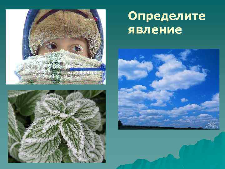 Определите явление 