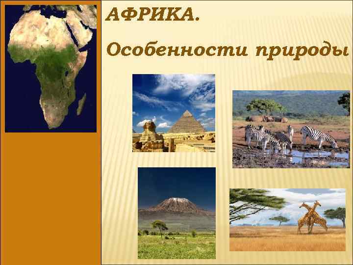 АФРИКА. Особенности природы 