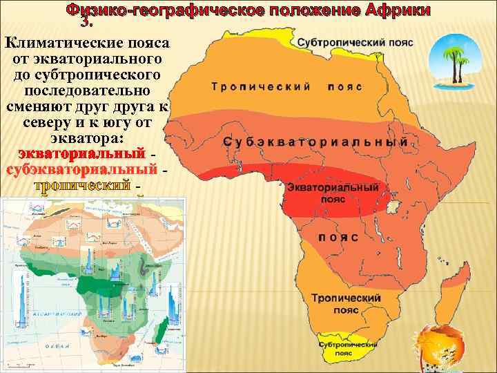 Физико-географическое положение Африки 3. Климатические пояса от экваториального до субтропического последовательно сменяют друга к