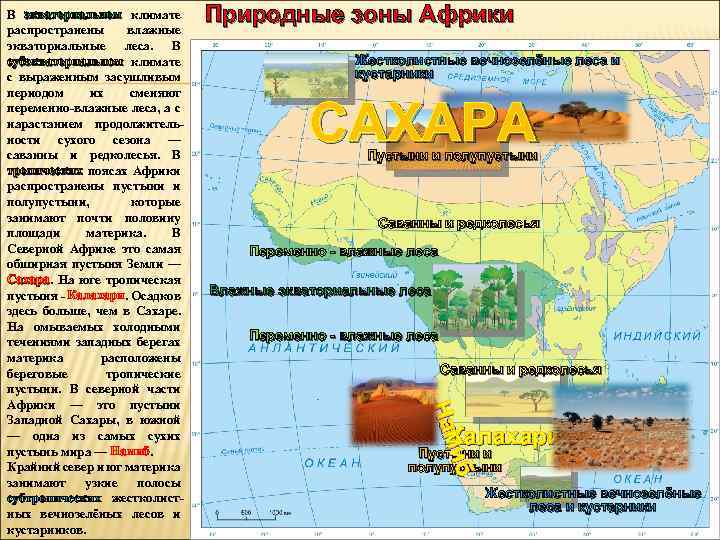Природные зоны Африки Жестколистные вечнозелёные леса и кустарники САХАРА Пустыни и полупустыни Саванны и