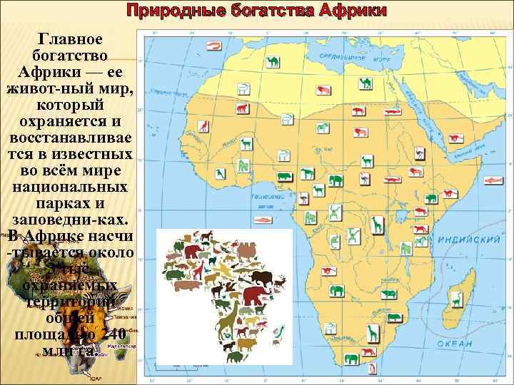 Природные богатства Африки Главное богатство Африки — ее живот-ный мир, который охраняется и восстанавливае
