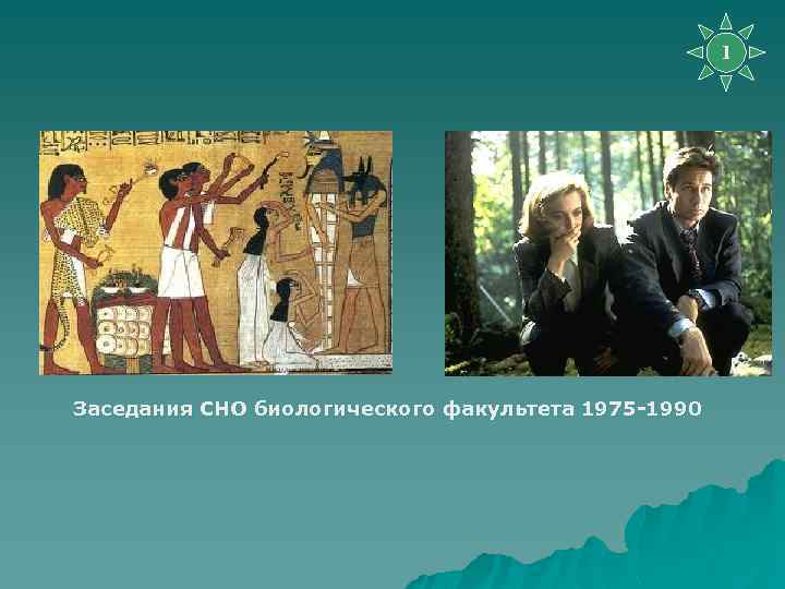 1 Заседания СНО биологического факультета 1975 -1990 