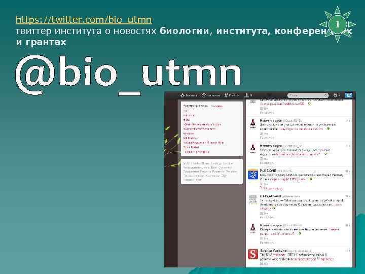 https: //twitter. com/bio_utmn 1 твиттер института о новостях биологии, инcтитута, конференциях биологии и грантах