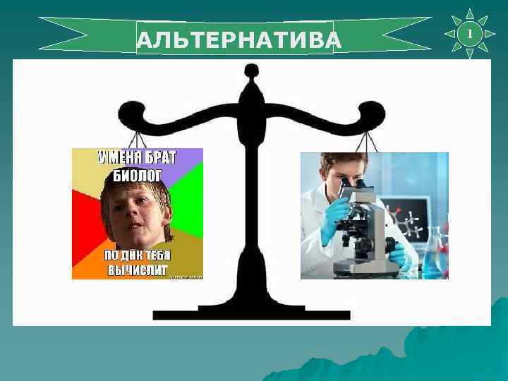 АЛЬТЕРНАТИВА 1 