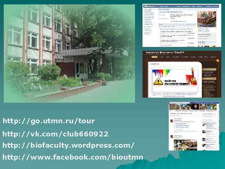 http: //go. utmn. ru/tour http: //vk. com/club 660922 http: //biofaculty. wordpress. com/ http: //www.
