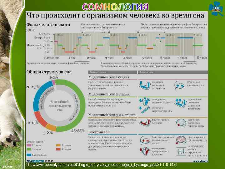 http: //www. apocalyps. info/publ/drugie_temy/fazy_medlennogo_i_bystrogo_sna/21 -1 -0 -1531 