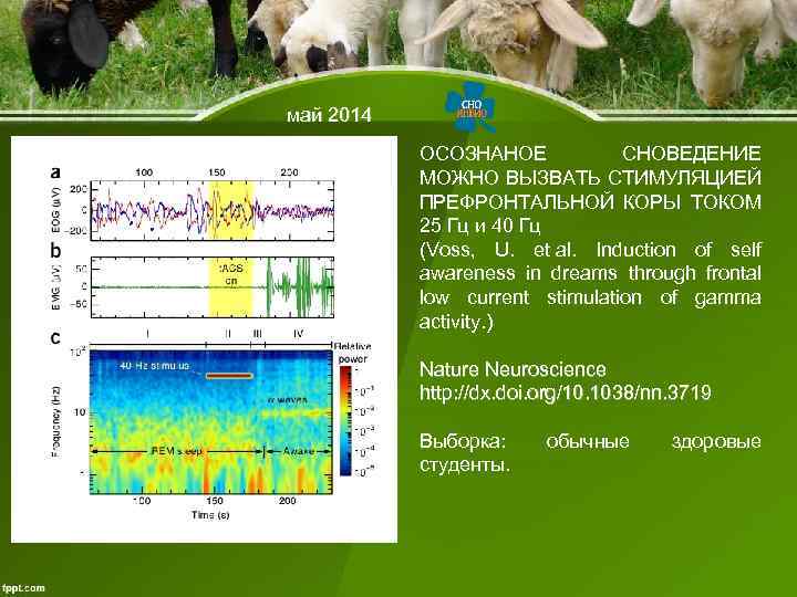 май 2014 ОСОЗНАНОЕ СНОВЕДЕНИЕ МОЖНО ВЫЗВАТЬ СТИМУЛЯЦИЕЙ ПРЕФРОНТАЛЬНОЙ КОРЫ ТОКОМ 25 Гц и 40