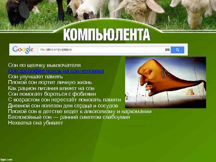 Сон по щелчку выключателя Сон дрозофил похож на сон человека Сон улучшает память Плохой
