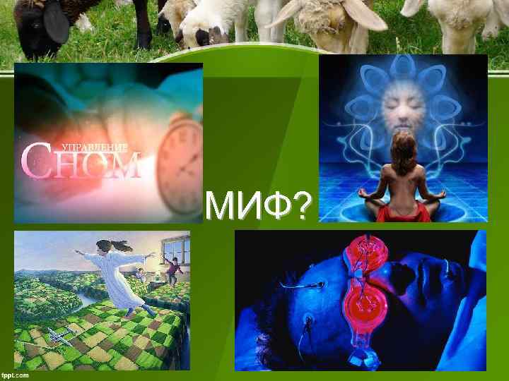 МИФ? 
