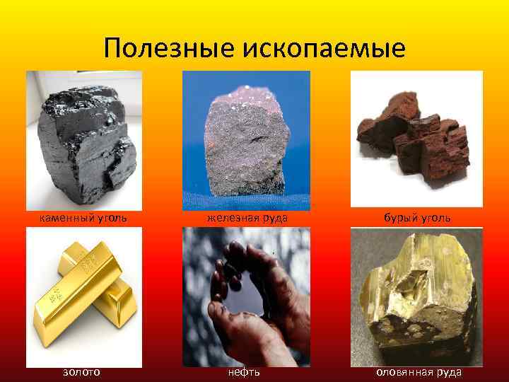 Полезные ископаемые каменный уголь золото железная руда нефть бурый уголь оловянная руда 