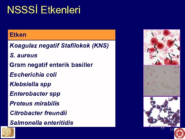NSSSİ Etkenleri Etken Koagulaz negatif Stafilokok (KNS) S. aureus Gram negatif enterik basiller Escherichia