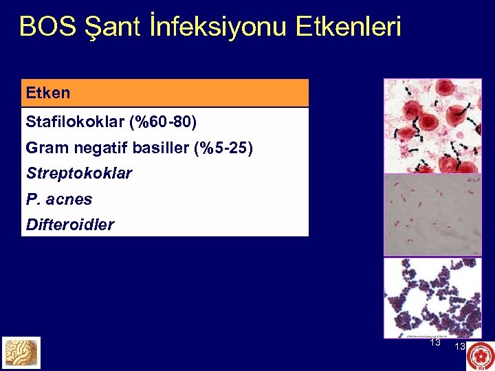 BOS Şant İnfeksiyonu Etkenleri Etken Stafilokoklar (%60 -80) Gram negatif basiller (%5 -25) Streptokoklar
