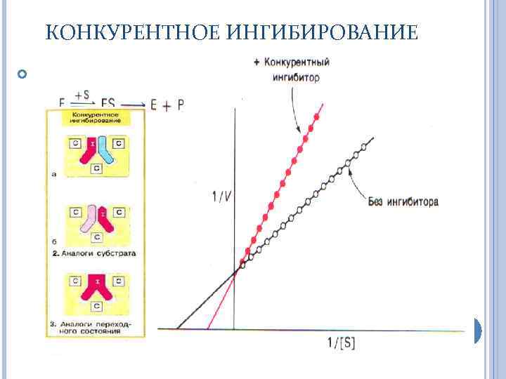 КОНКУРЕНТНОЕ ИНГИБИРОВАНИЕ 