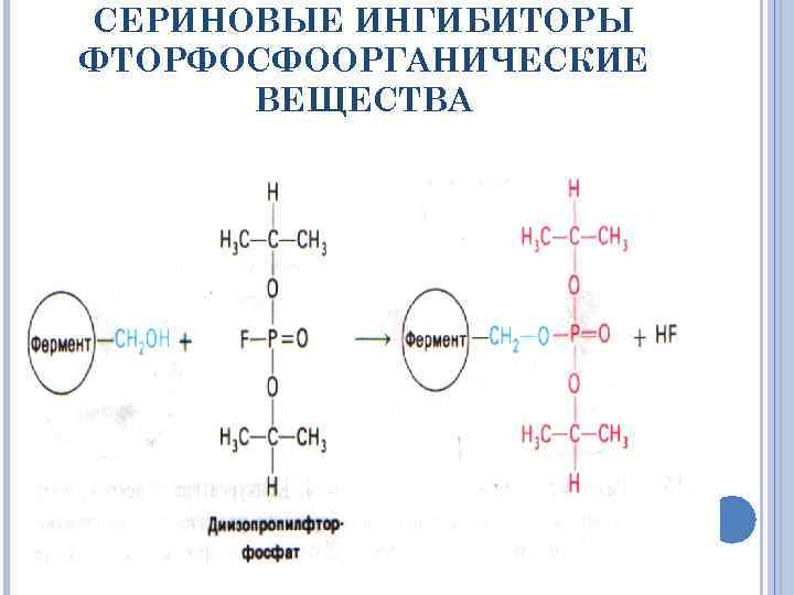 СЕРИНОВЫЕ ИНГИБИТОРЫ ФТОРФОСФООРГАНИЧЕСКИЕ ВЕЩЕСТВА 