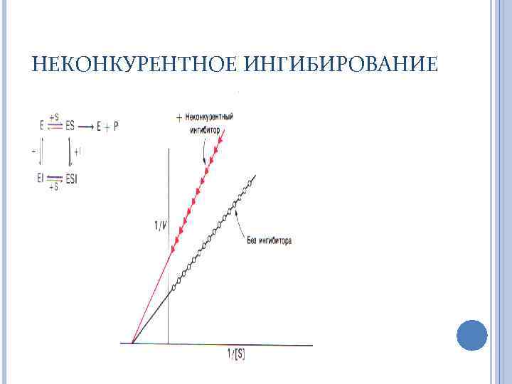 Неконкурентное ингибирование схема