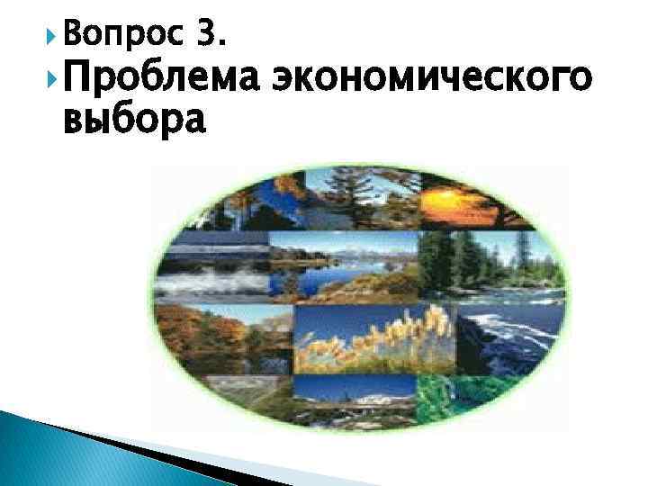  Вопрос 3. Проблема выбора экономического 