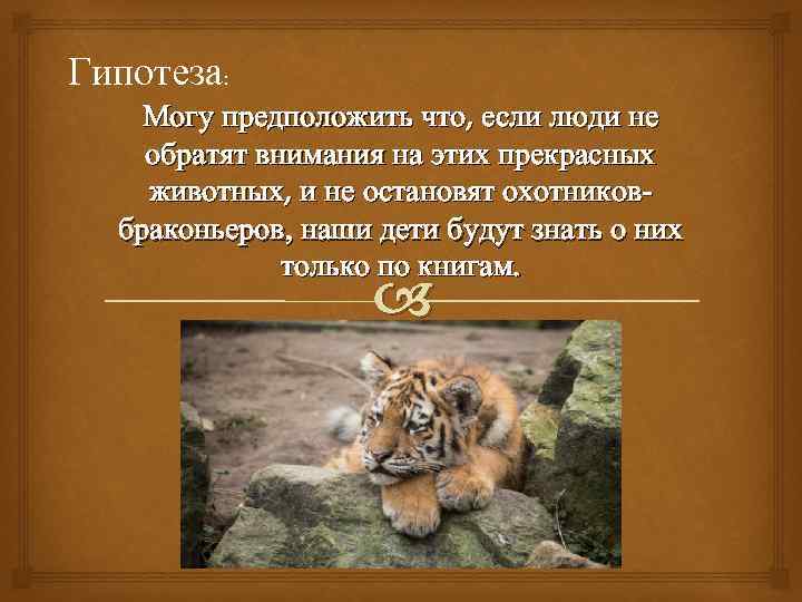 Гипотеза: Могу предположить что, если люди не обратят внимания на этих прекрасных животных, и