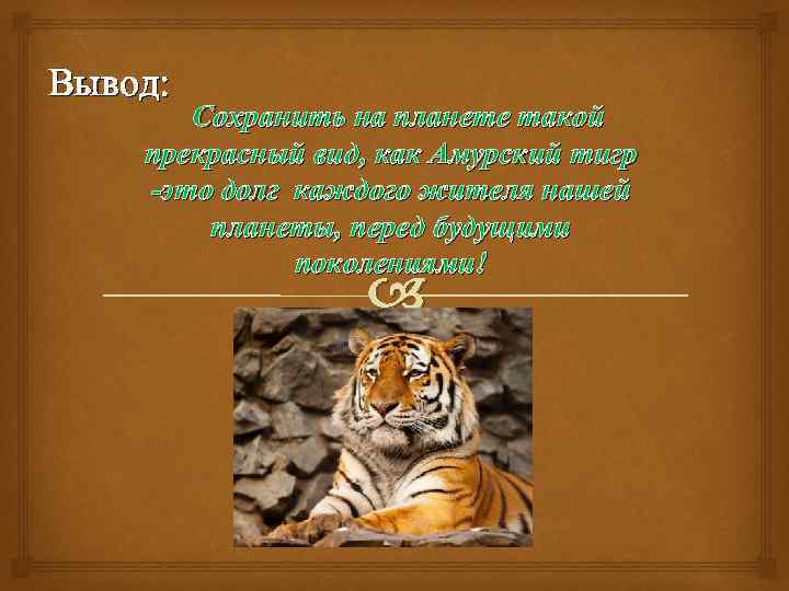 Вывод: Сохранить на планете такой прекрасный вид, как Амурский тигр -это долг каждого жителя