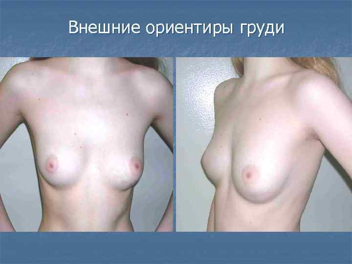 Внешние ориентиры груди 