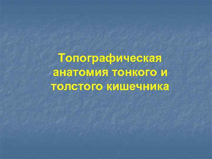 Топографическая анатомия тонкого и толстого кишечника 