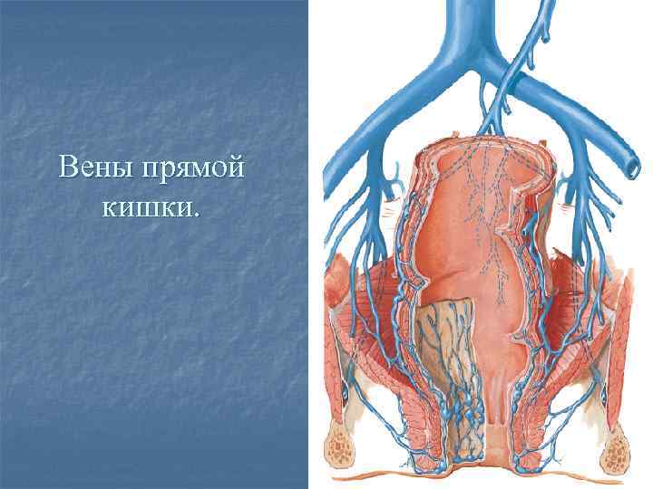 Сагиттальный и поперечный распил забрюшинного пространства схема