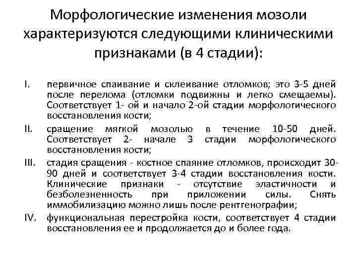 Морфологические изменения мозоли характеризуются следующими клиническими признаками (в 4 стадии): I. первичное спаивание и