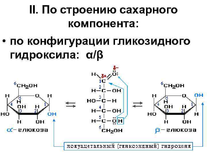 II. По строению сахарного компонента: • по конфигурации гликозидного гидроксила: α/β 