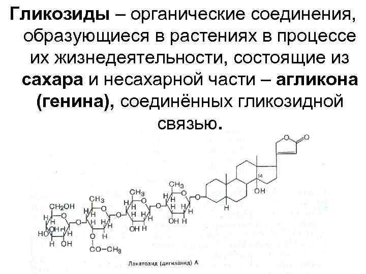 Органические соединения образуются